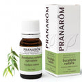 PRANAROM ACEITE ESENCIAL EUCALIPTO RADIATA  1 ENVASE 10 ML