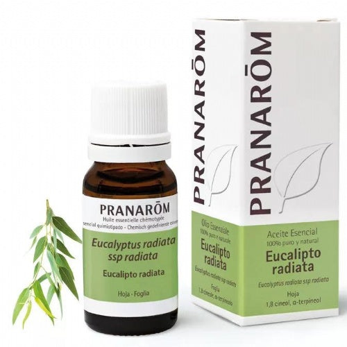 PRANAROM ACEITE ESENCIAL EUCALIPTO RADIATA  1 ENVASE 10 ML